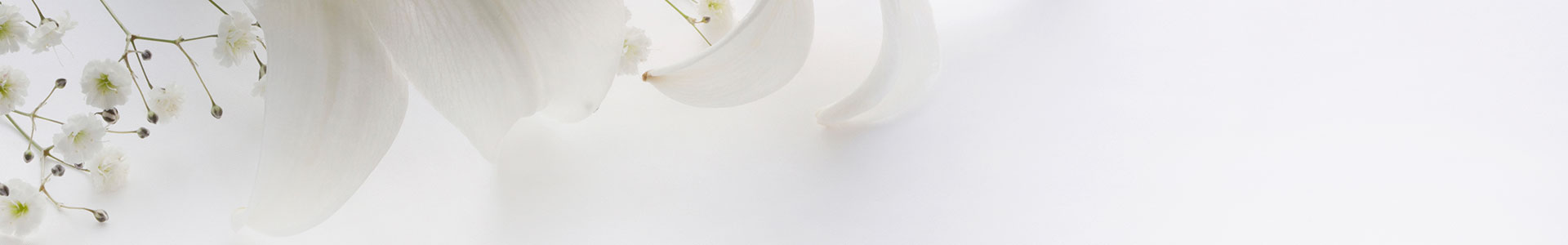 ユリとカスミソウ